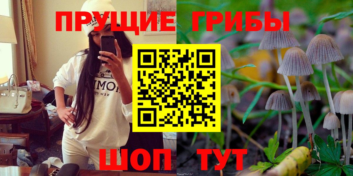 Псилоцибиновые грибы GOLDEN TEACHER Балашиха