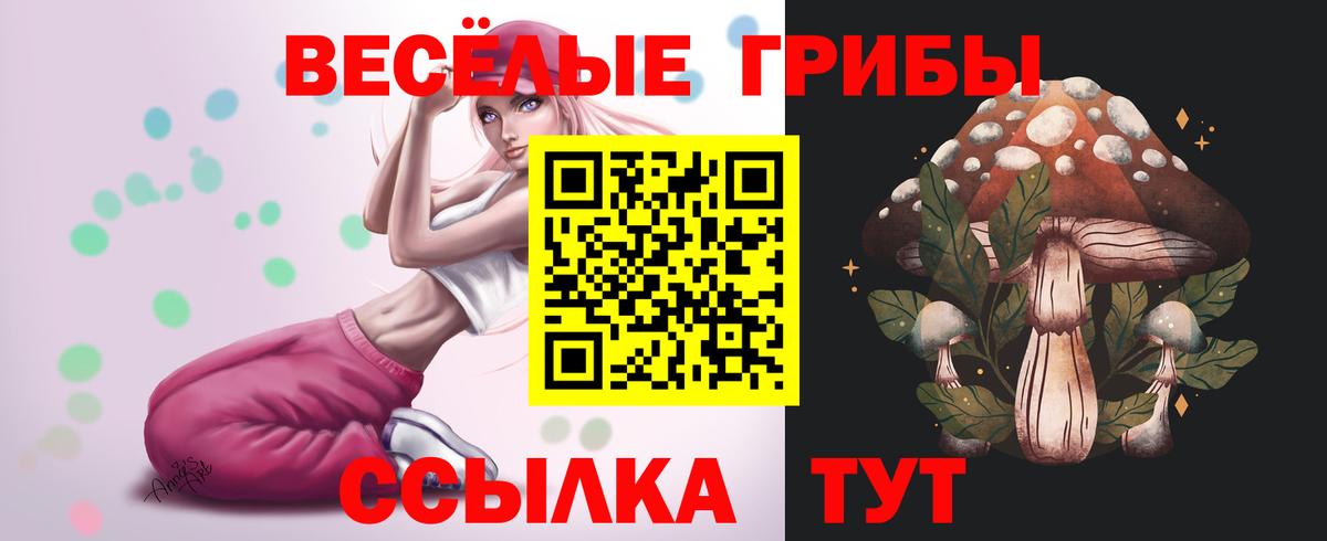 Псилоцибиновые грибы мухоморы  Псилоцибиновые грибы GOLDEN TEACHER  Балашиха  Вход с VPN 